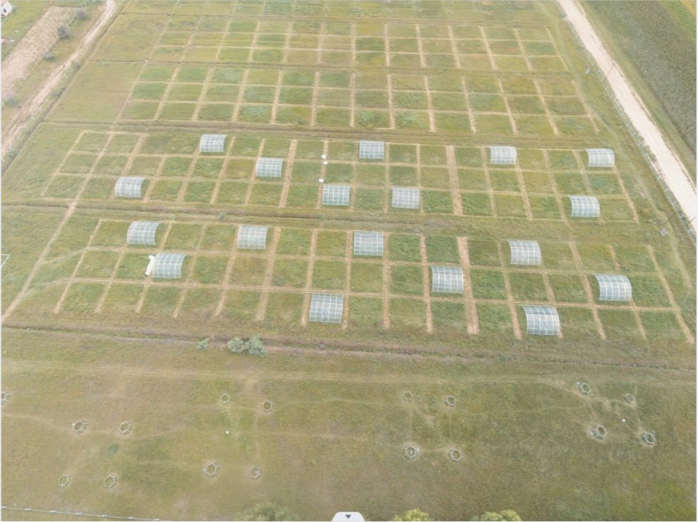 说明: 2021植被-右玉站-04